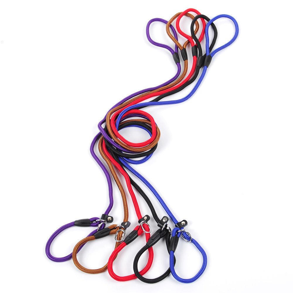 Guinzaglio con Collare Integrato