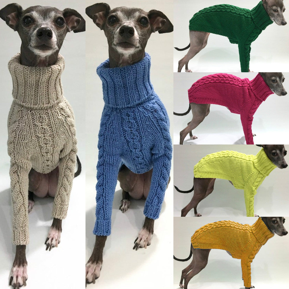 Maglione a Maglia per Cani - Caldo, Comodo e Colorato