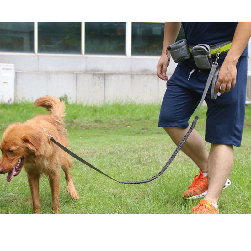 Guinzaglio a Mani Libere per Corsa e Passeggiate con il Cane